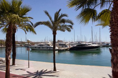 Palmiye ağaçlarının ve Palma De Mallorca marinasının manzarası.