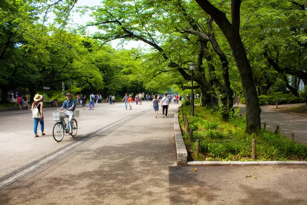 Nsanlar Ueno Parkı Seviyor — Stok fotoğraf