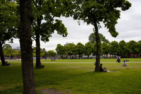 在阿姆斯特丹的博物馆区 正方形 人们正在闲逛的景象 这是一个多云的夏日 — 图库照片