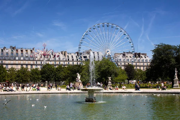 カモメはパリのJardin Des Tuileriesのプールで泳いでいます 展望台には観覧車 駐車場 建物があります — ストック写真