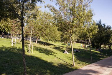 Güneşli yaz gününde Nisantasi / İstanbul 'daki parkta çimlerin üzerinde takılan insanların görüntüsü.