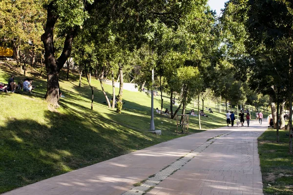 Vista Persone Che Camminano Appendere Fuori Sul Terreno Erboso Parco — Foto Stock