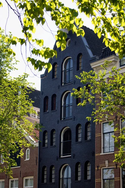 近景黑暗灰色的历史 传统和典型的建筑显示荷兰建筑风格在阿姆斯特丹 这是一个阳光灿烂的夏日 — 图库照片