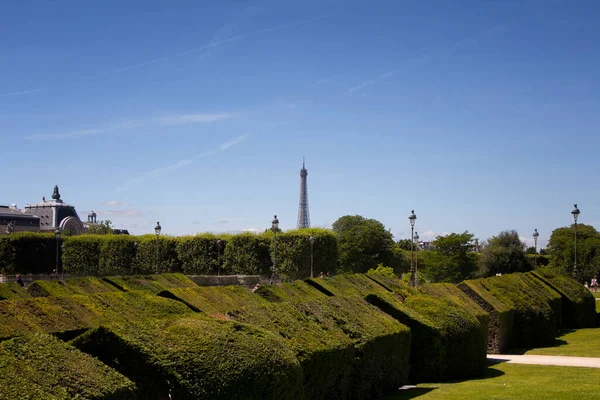 パリにあるJardin Des Tuileriesとエッフェル塔の眺め 18本のブロンズ像を含む 17世紀の広大な正式な庭園が点在しています — ストック写真