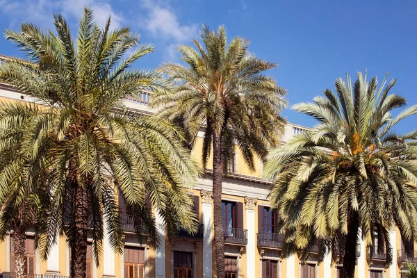 Vista Palmeras Edificios Históricos Tradicionales Antiguos Famosa Plaza Ciudad Llamada — Foto de Stock