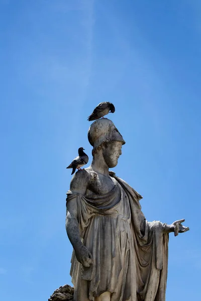 Piccioni Cima Alla Statua Jardin Des Tuileries Parigi — Foto Stock