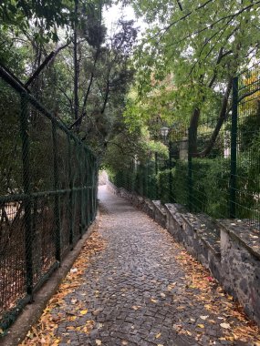 Sonbaharda İstanbul 'un Taksim bölgesinde küçük bir patika manzarası.