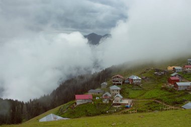Gito adında bir dağ (yüksek plato) köyü, orman ağaçları, cam tarlaları ve sis. Fotoğraf, Türkiye 'nin kuzeydoğusunda yer alan Karadeniz bölgesinin Rize bölgesinde çekildi..