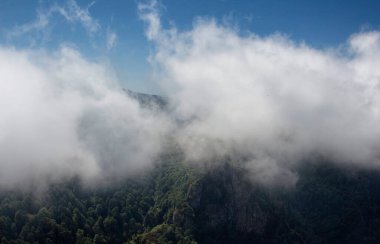Dağların manzarası, sisli bir orman güzel bir doğa manzarası yaratıyor. Fotoğraf, Türkiye 'nin kuzeydoğusunda yer alan Karadeniz bölgesinin Trabzon / Rize bölgesinde çekildi..