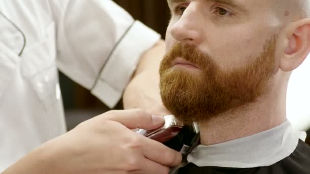 barbers beard trimmer