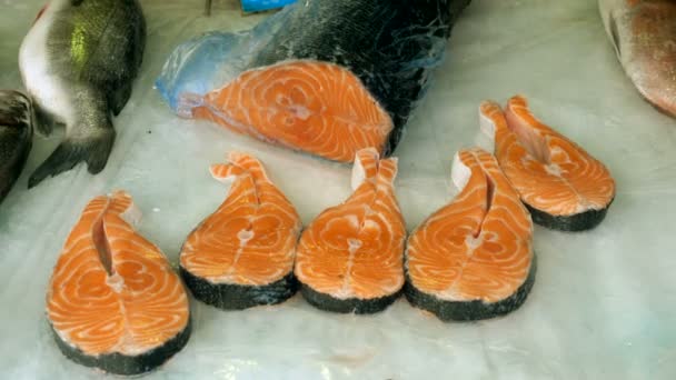 Fresh seafood. Close-up shot of sea fish. Salmon lying on ice on the street market. Greece. 4K — Stock Footage Fresh seafood. Close-up shot of sea fish. Salmon lying on ice on the street market. Greece. 4K Stock Footage