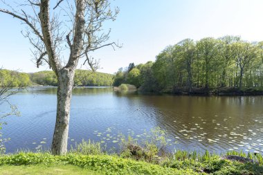 İsveç'te Hackeberga'da Bahar