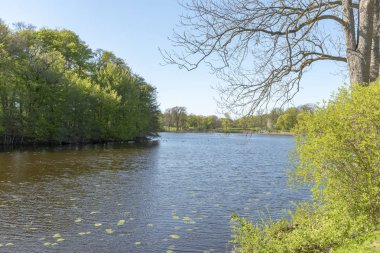 Hackeberga İsveç göl tarafından Bahar