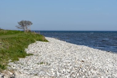 Kireçtaşı ile İsveçli sahil