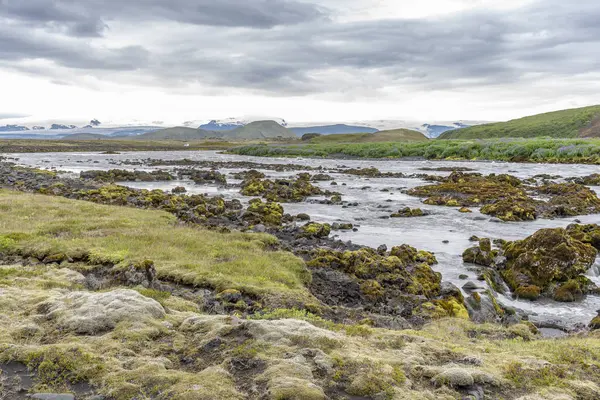 Mech Krajobraz Islandzki — Zdjęcie stockowe