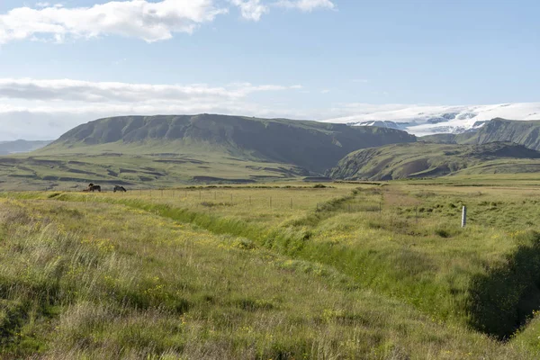 Prairies Dans Sud Islande — Photo