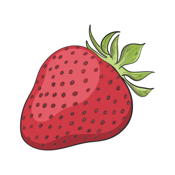 Hand Drawn Strawberry Vector — Stock Vector