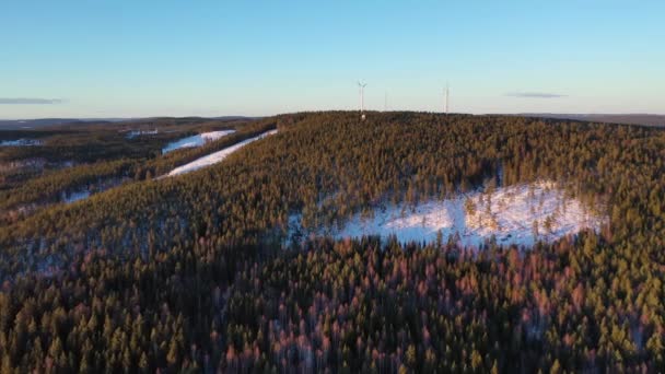 Bosque Con Molinos Viento Drone Metraje — Vídeos de Stock