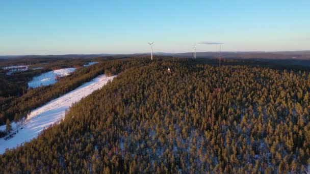 Větrné Mlýny Záběrech Lesních Dronů — Stock video