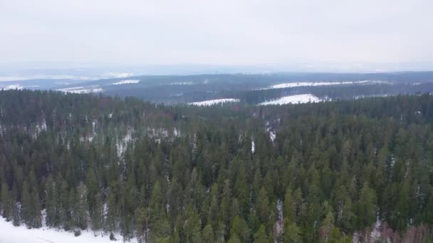 Scandinavië Sneeuw Drone Beelden — Stockvideo