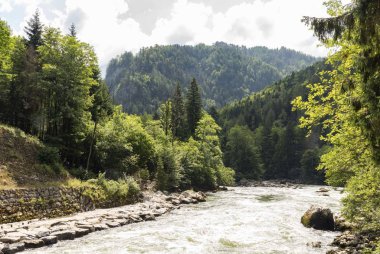 Avusturya'da Gesause Milli Parkı Peyzaj