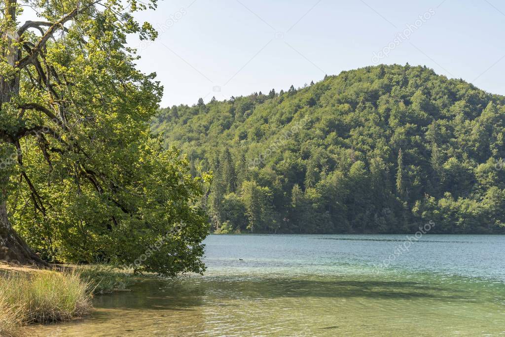 Lake at Plitvice national park in Croatia