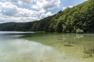 Hırvatistan Plitvice yeşil göl
