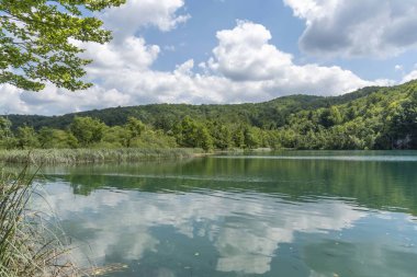 Hırvatistan Plitvice milli parkında güzel göl