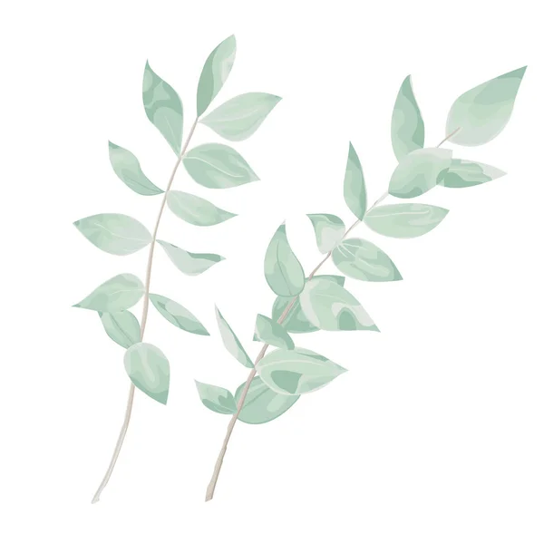 Set Eucalyptus Leaves Branches Imitation Watercolor Isolated White Background Handdrawn — Stock Vector