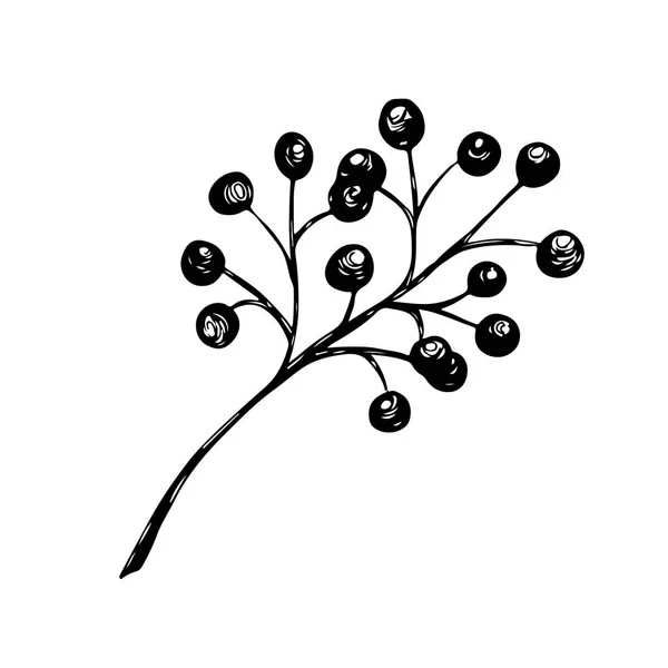 Vector Hand Drawn Sketch Holly Branch Berry Mistletoe Isolated White — Stock Vector