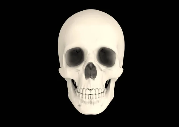 Голова Пиратского Черепа Изолирована Черном — стоковое фото