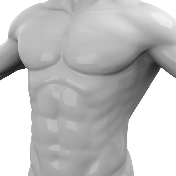 男性の筋肉 腹部の — ストック写真