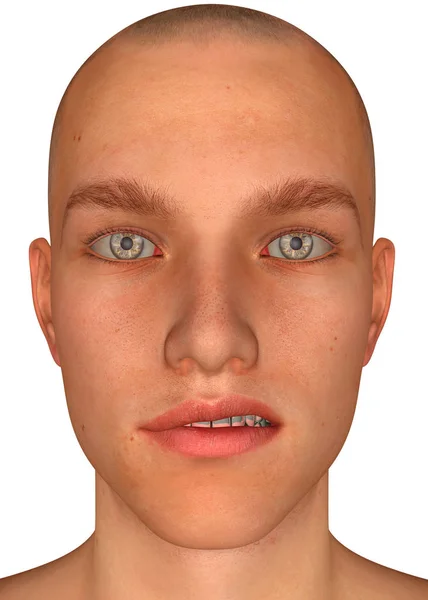 Glatze Männliches Gesicht Illustration — Stockfoto
