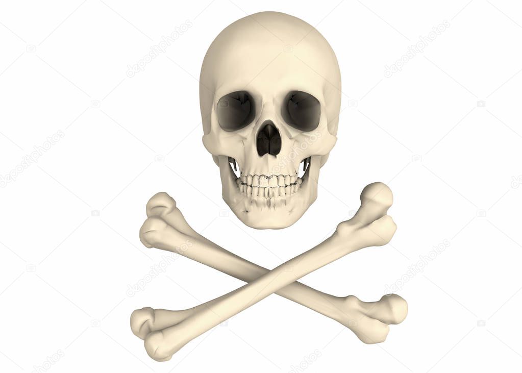 Pirate Skull head and bones, 3D