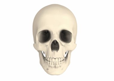 Korsan kafatası - 3d yakın