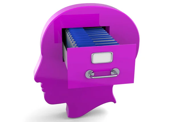 Beyindeki Anılar - 3 Boyutlu