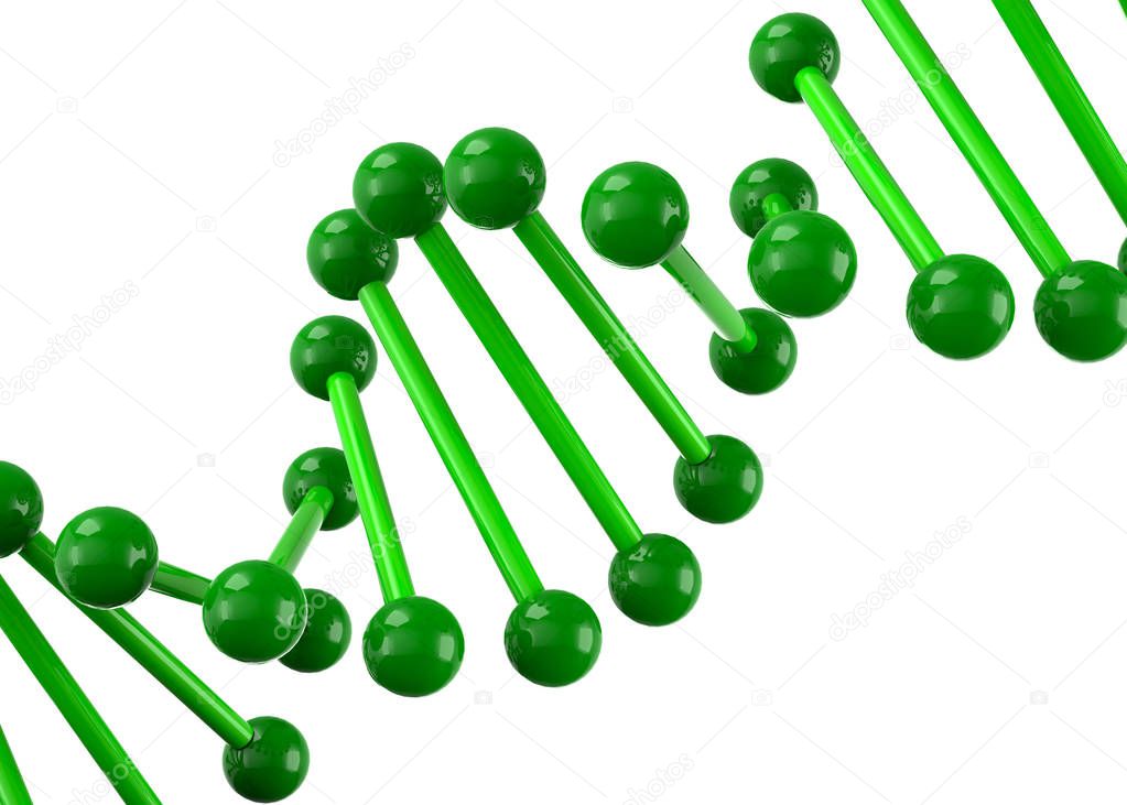 DNA Molecule - 3D