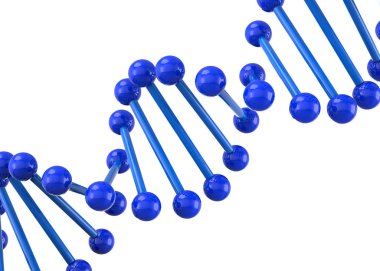 Dna Molekülü - 3d