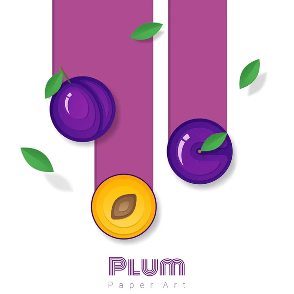 Fresh Plum Fruit Background Paper Art Style Vector Illustration — Stock Vector