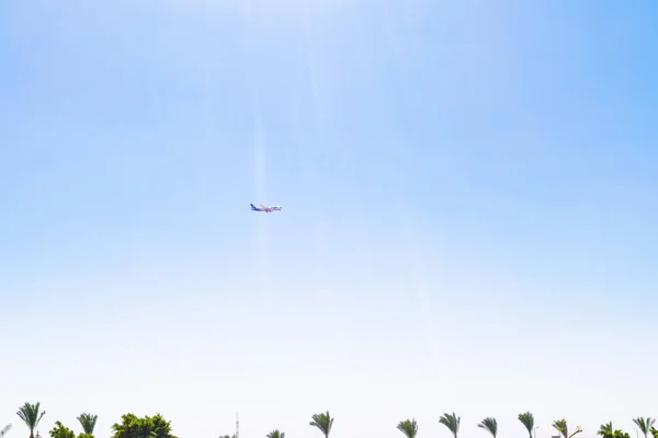 Mit dem Flugzeug auf eine Palme am sonnigen Himmel - Reise-, Urlaubs- und Urlaubskonzept — kostenloses Stockfoto