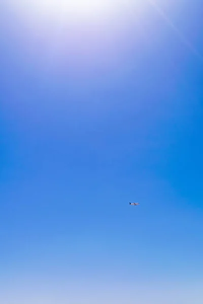 Airplane flying on the blue sky at the sunny day — Stock Photo, Image