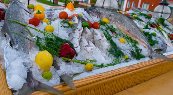 Mix van verschillende vissen in ijsblokjes, met rode, groene, oranje paprika, limoen, citroen en dille — Stockfoto