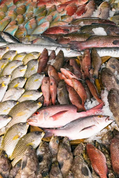 Verschillende Soorten Rauwe Vis Worden Weergegeven Tafel Koop Markt Vis — Stockfoto