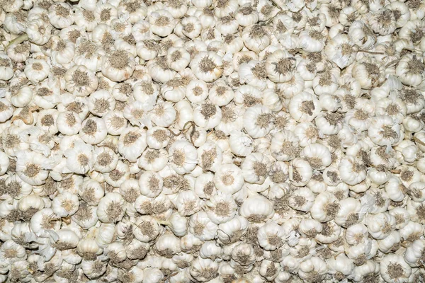 Πολλά Οργανικά Σκόρδο Πωλήσεων Στην Αγορά Λευκό Σκόρδο Υφή Σωρό — Φωτογραφία Αρχείου
