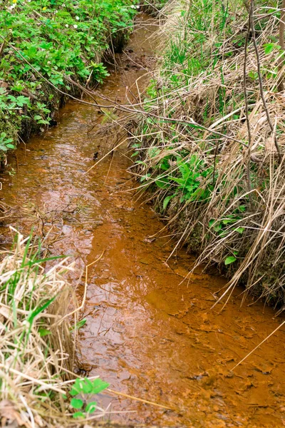 Bahar su akan içinde demir. Suda metal