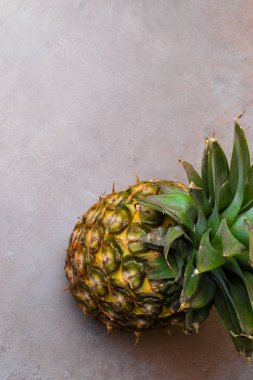 gri arka plan üzerinde izole bir ham pineaple