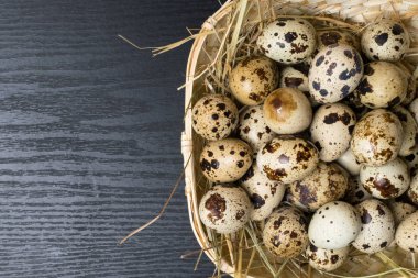 Kırsal ahşap arka planda bir yuvadaki bıldırcın yumurtaları. Sağlıklı gıda konsepti.