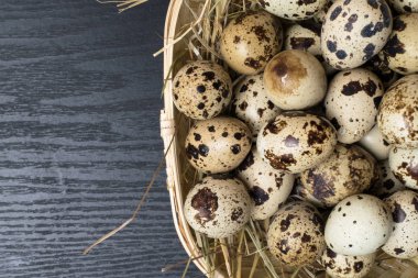 Kırsal ahşap arka planda bir yuvadaki bıldırcın yumurtaları. Sağlıklı gıda konsepti.