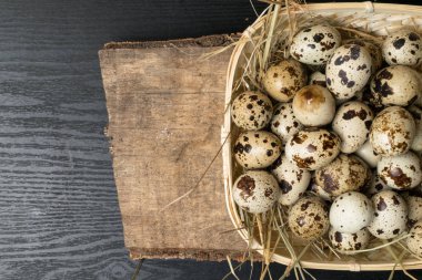 Kırsal ahşap arka planda bir yuvadaki bıldırcın yumurtaları. Sağlıklı gıda konsepti.