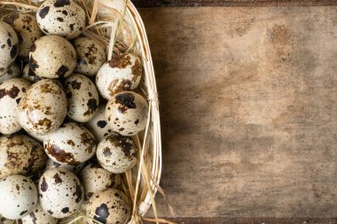 Kırsal ahşap arka planda bir yuvadaki bıldırcın yumurtaları. Sağlıklı gıda konsepti.